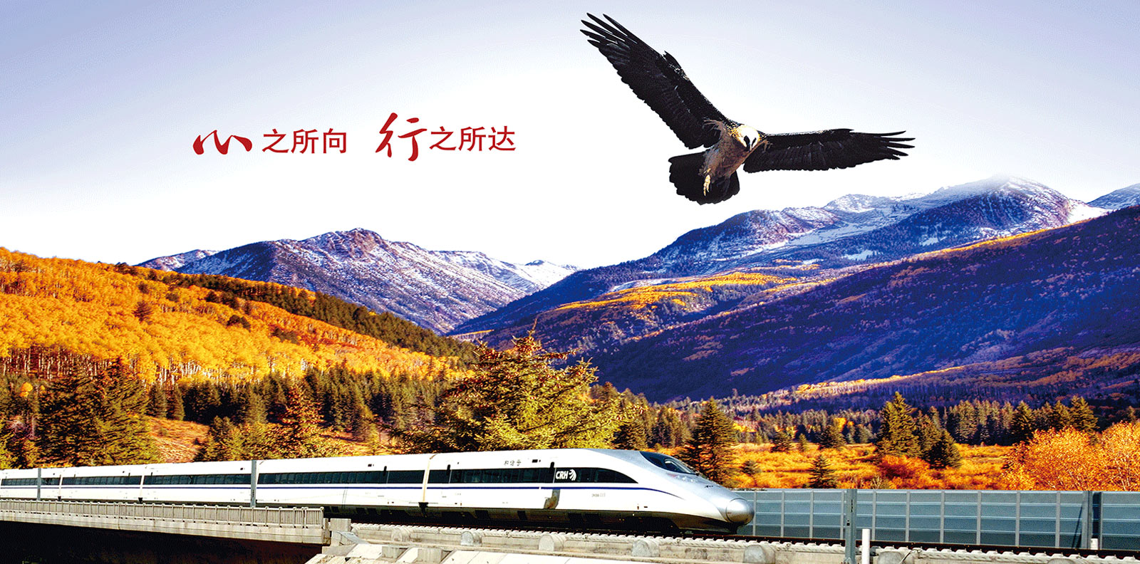 專業、專注、創新、創造、智能、高效