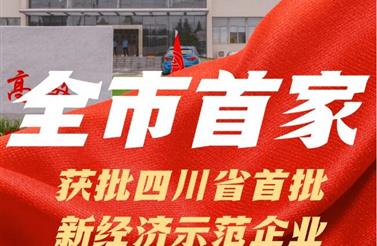 全市首家 | 91抖音轻量版智裝獲批省首批新（xīn）經濟示（shì）範企業